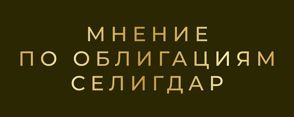 Облигации Селигдар 1Р10: анализ доходности и рисков размещения