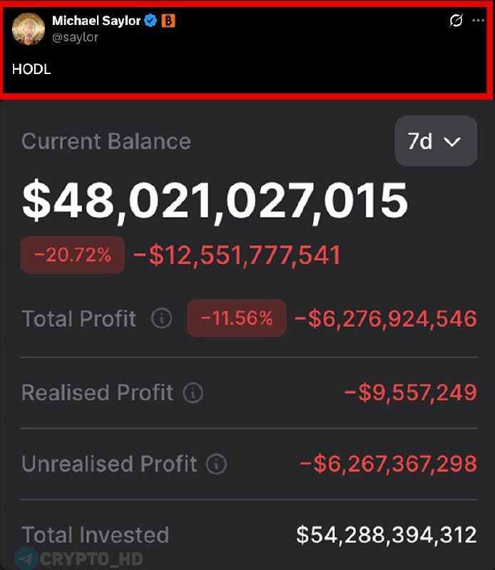 Майкл Сэйлор в моменте «HODL»