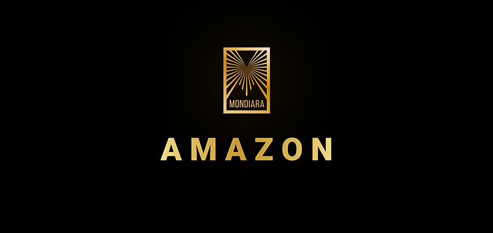 Amazon вложит 200 млрд долларов в ИИ, микросхемы и робототехнику: что стоит за масштабными инвестициями?