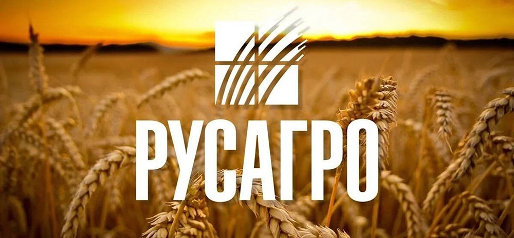 Русагро на подъеме: стоит ли инвестировать в акции лидера агросектора?