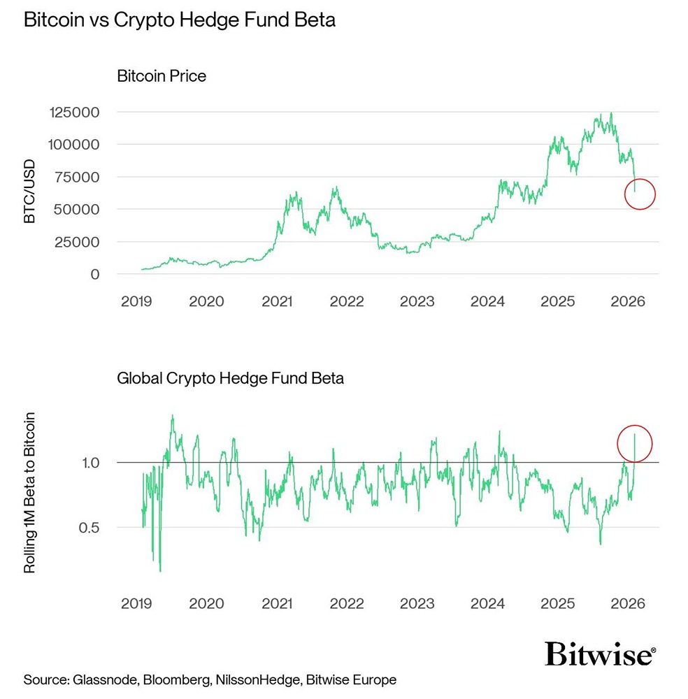 Похоже, криптохедж-фонды «покупают биткоин на спаде»