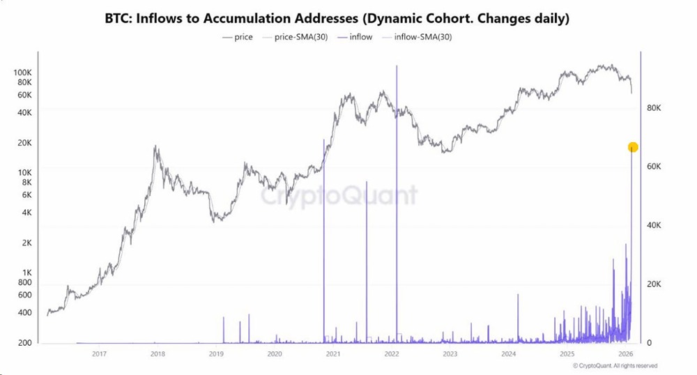 Киты сильно нарастили покупки BTC на текущей коррекции