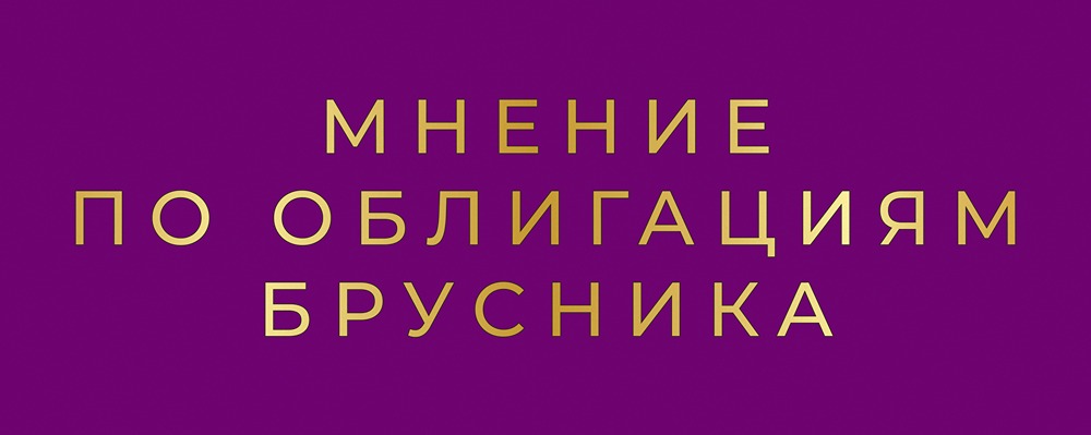 Девелопер Брусника: от технического дефолта к финансовой стабильности