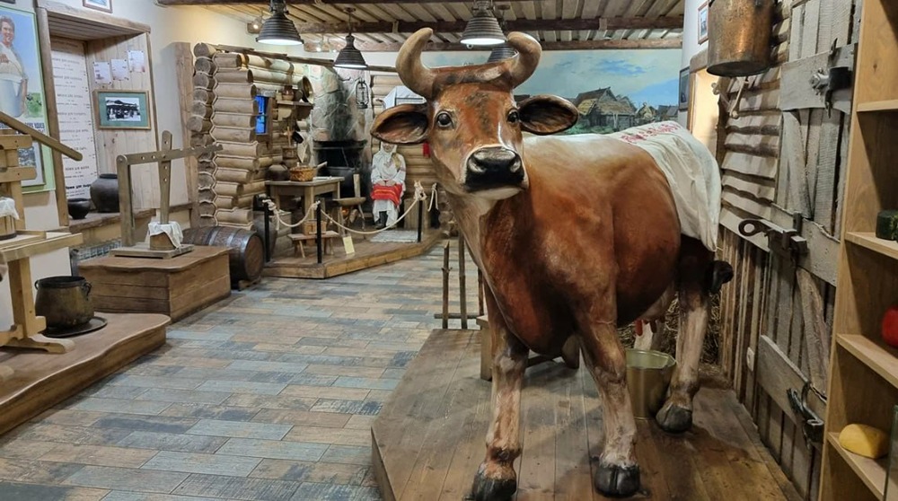 Музей сыра в Костроме: от ремесла до промышленного производства