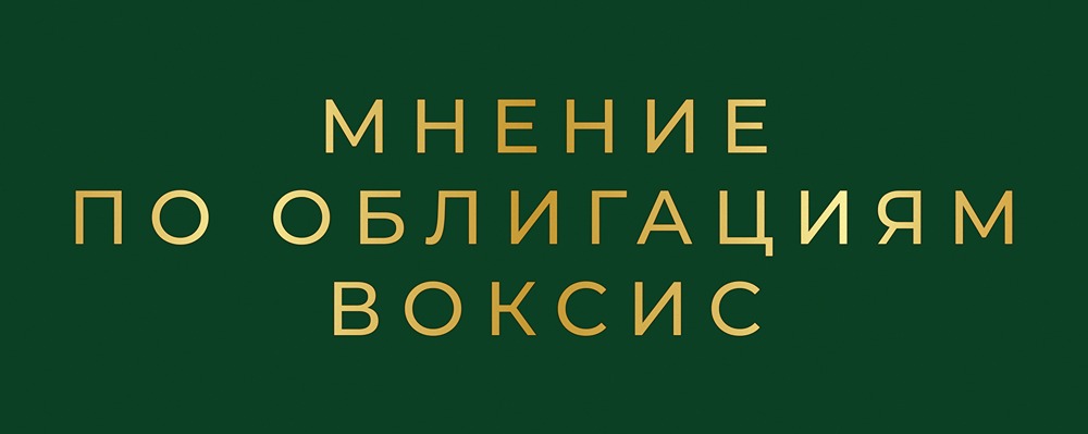 VOXYS выходит на долговой рынок с серией 1Р2: стоит ли инвестировать в облигации?