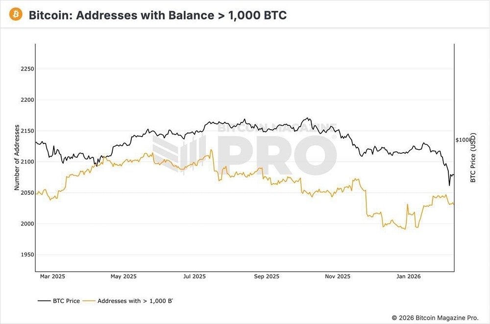Киты возвращаются к накоплению биткоина