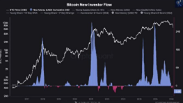 CryptoQuant: отсутствие свежего капитала усиливает медвежьи настроения по Биткоину