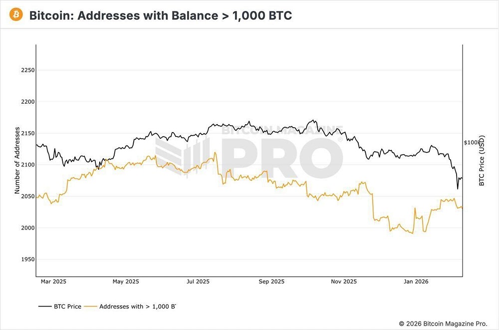 Крупные игроки на рынке биткоинов переключились с распределения давно удерживаемых активов на покупку текущих запасов