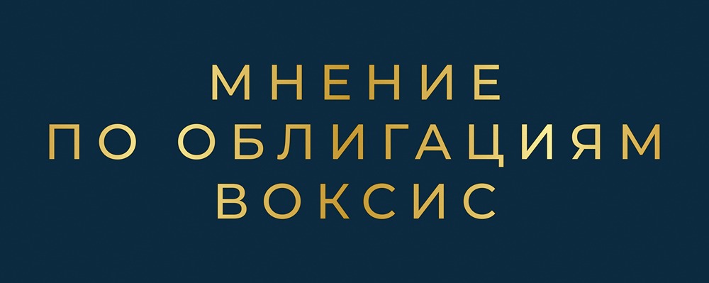 Стоит ли доверять облигациям Воксис: анализ финансовых показателей и кредитного рейтинга за 6 месяцев 2025