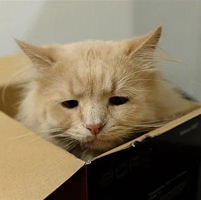 Зумеры в три раза чаще страдают от депрессии