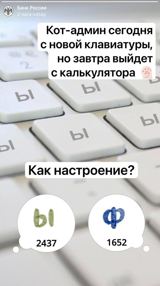 ЦБ России свалил всю вину на кота за пост с «ыыыыы»