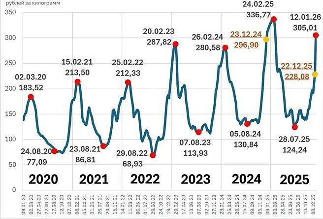 Английская Times с подачи BBC сравнивает цены на огурцы в России с золотом