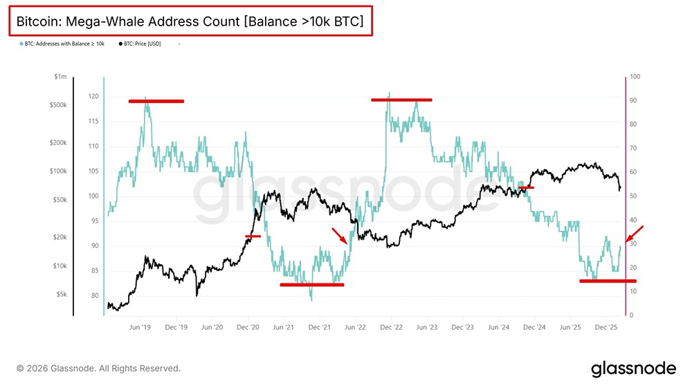 Индикаторы китов: анализ структуры капитала
