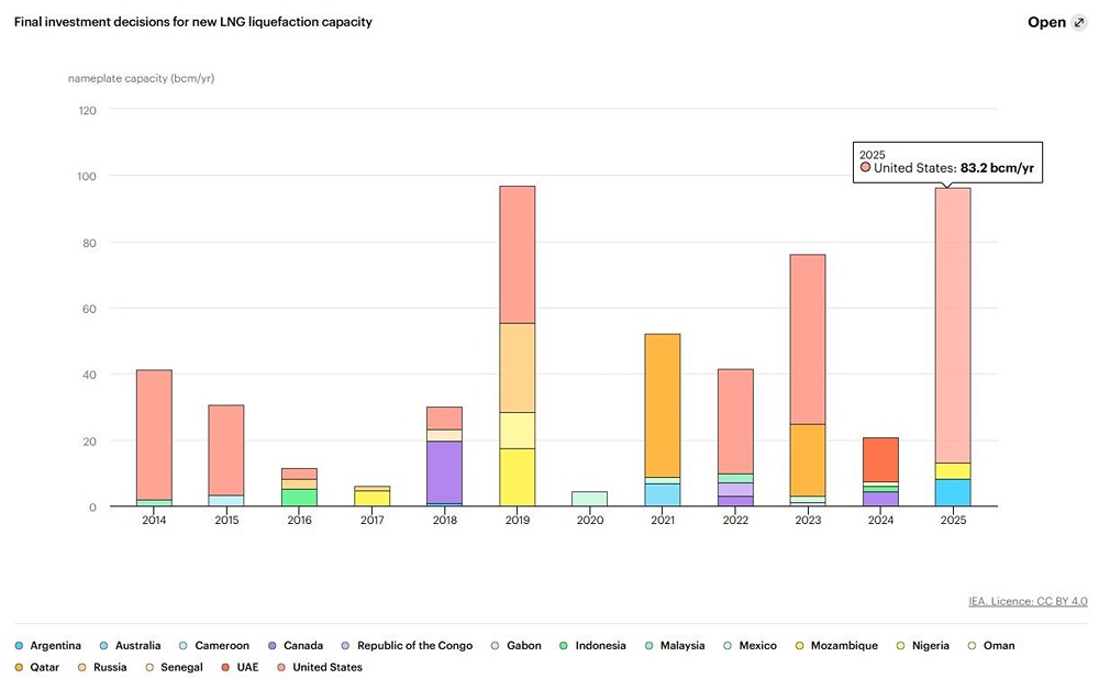 Почему инвесторы верят в Новатэк: разбираем финансовые показатели и риски компании