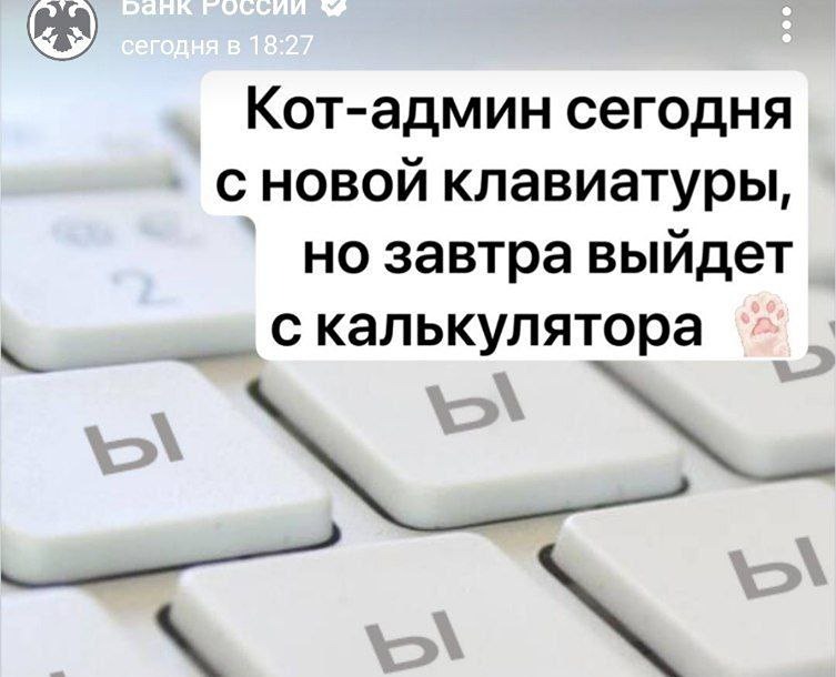Банк России обвинил бедного кота в утреннем сбое в канале и выходе сообщения про  «Ыыыыыыыы....»