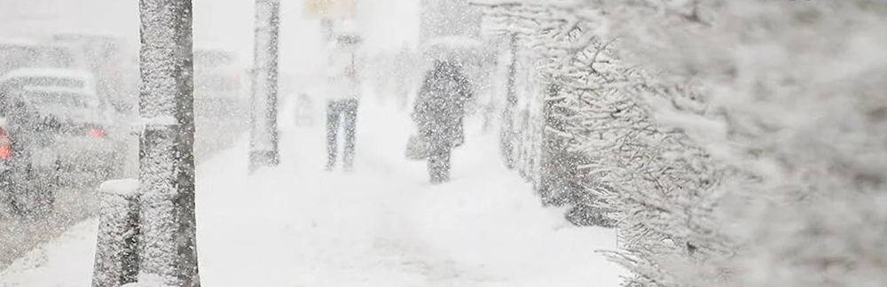 Мощный снегопад надвигается на Центральную Россию: чего ждать на неделе