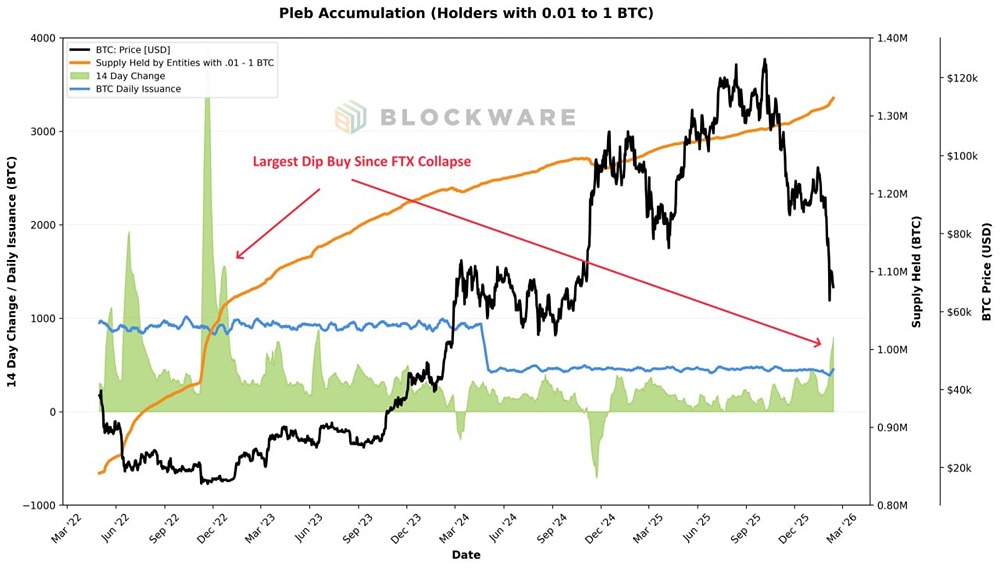 Почему мелкие инвесторы массово скупают биткоин: анализ текущей ситуации на рынке