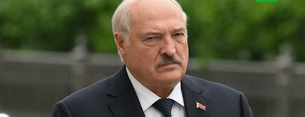 Россия вошла в топ-5 мировых производителей картофеля: итоги 2024 года