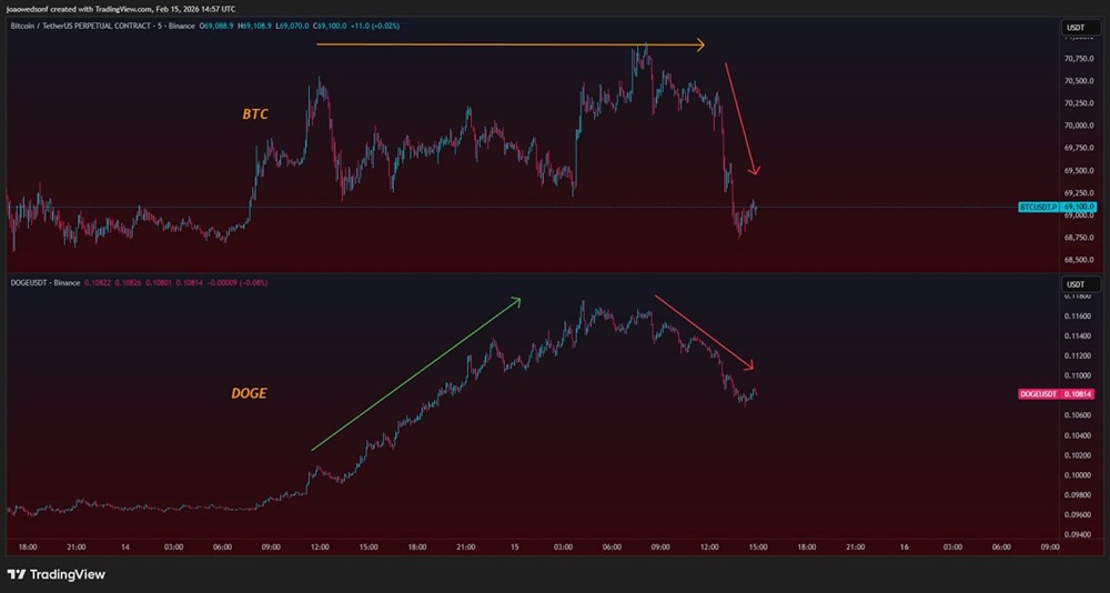 Dogecoin как индикатор риска для биткоина: что говорят графики?