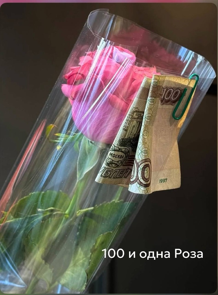 Сто и одна роза