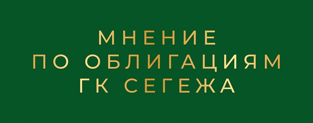 Стоит ли инвестировать в облигации Сегежи серии: 003P-10R с купоном 25%: анализ рисков и потенциала