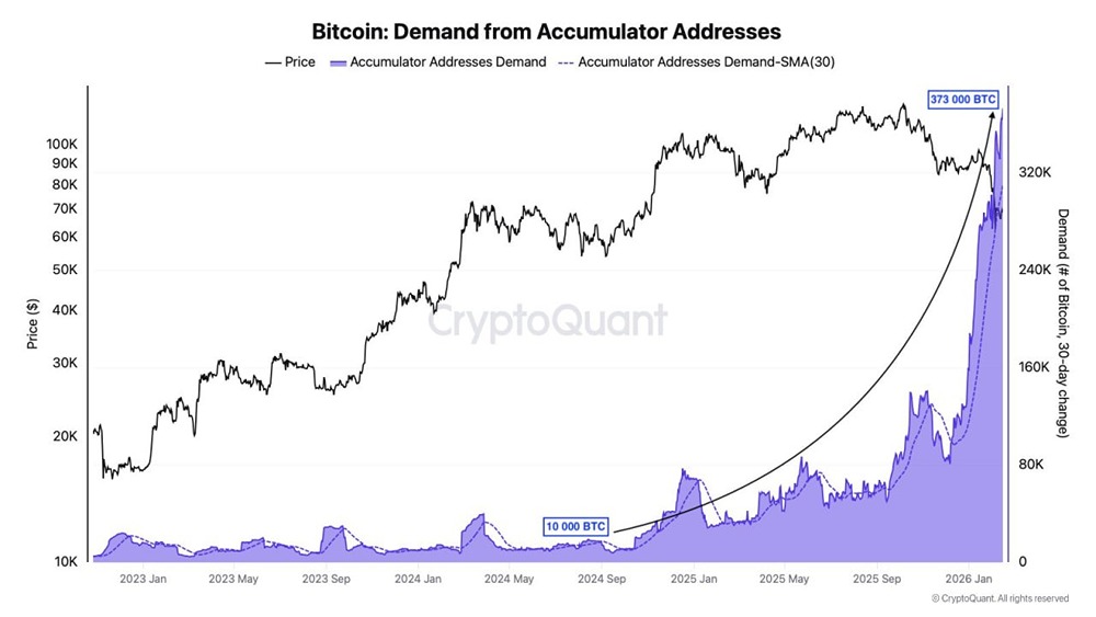 Инвесторы массово скупают биткоин: 372 000 монет в месяц