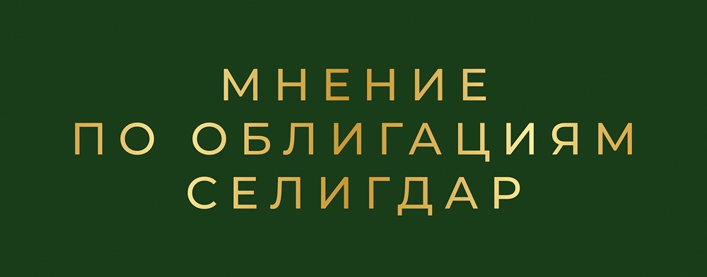 Селигдар выпускает облигации с доходностью до 19,56%: анализ нового выпуска 1Р10