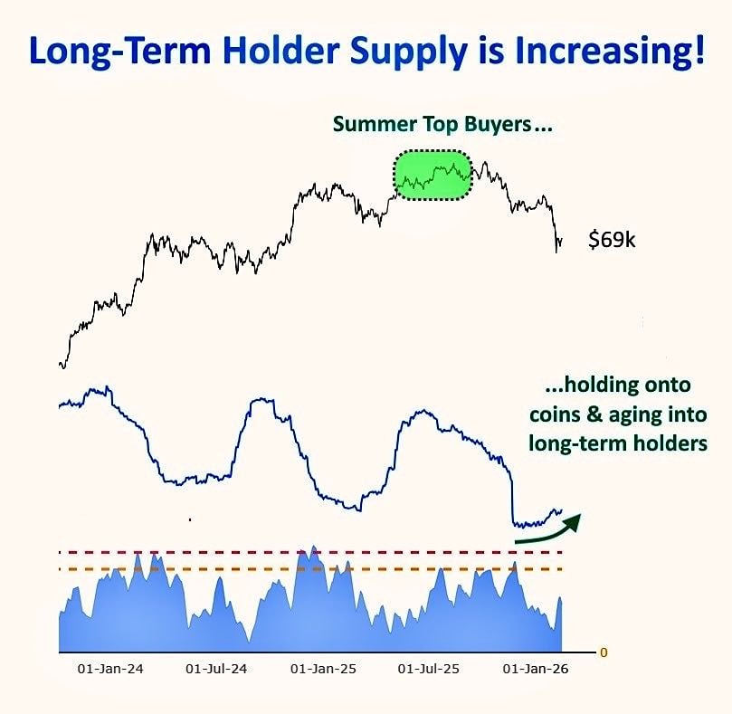 Долгосрочные держатели биткоина возвращаются: что это значит для рынка