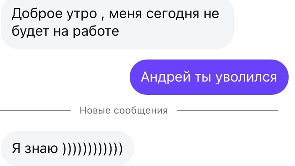 Самое счастливое сообщение понедельника показали в сети