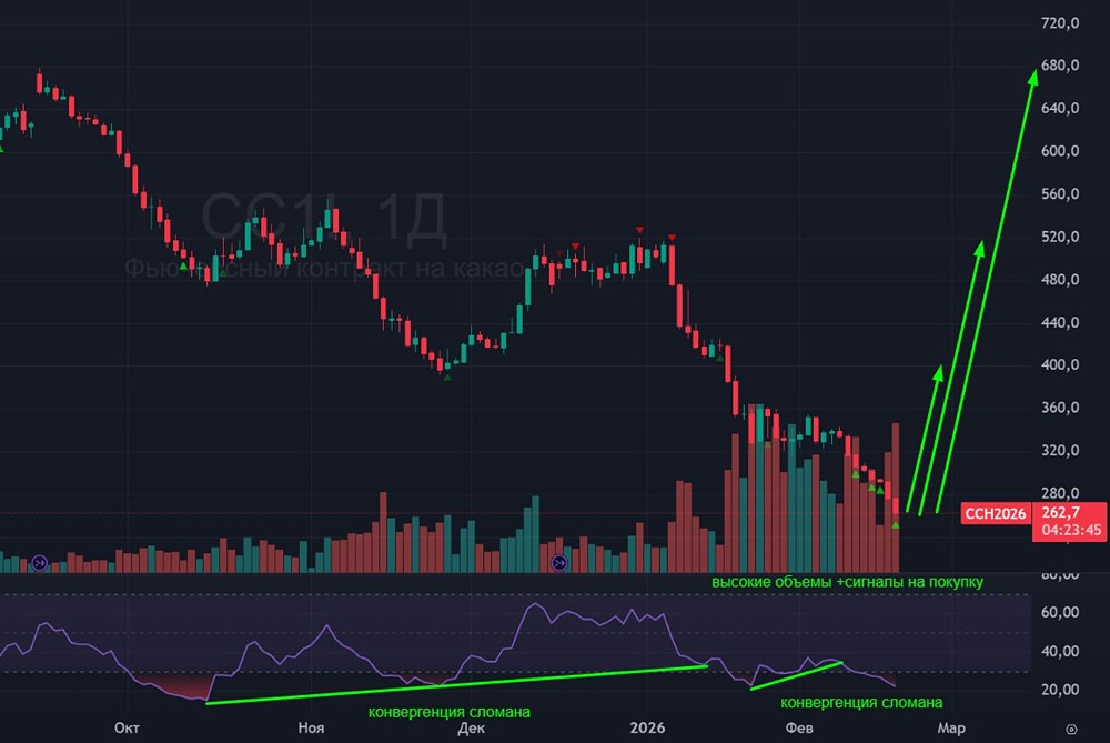 Прогноз цен на какао: сигналы покупки и волатильность
