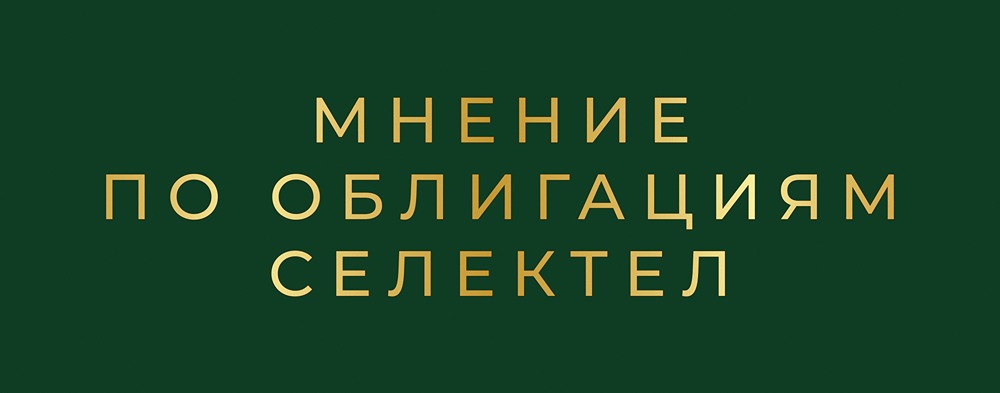 Selectel выпускает облигации: анализ параметров и инвестиционной привлекательности