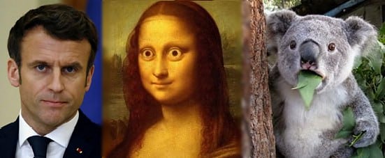 "Свобода слова — это полное фуфло" — Макрон