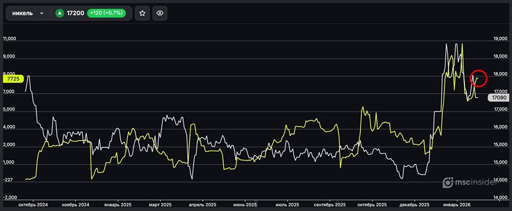 Никель: физлица активно наращивают чистый лонг