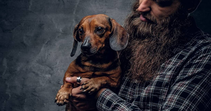 Учёные выяснили, что в мужской бороде может быть больше бактерий, чем в собачьей шерсти. Причина — постоянный контакт с руками, едой и телефоном, а также тёплая и влажная среда кожи лица, где микробы активно размножаются