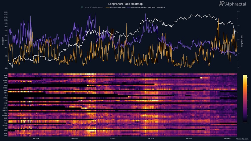 Трейдеры выбирают биткоин: 4 месяца доминирования длинных позиций