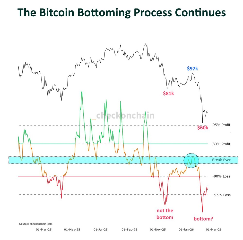 Когда биткоин будет готов к ралли: роль краткосрочных держателей