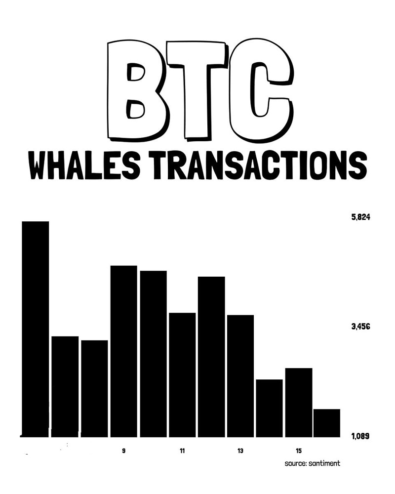 Количество крупных транзакций с биткоинами BTC сократилось на 72% за две недели, снизившись с 5767 до 1637