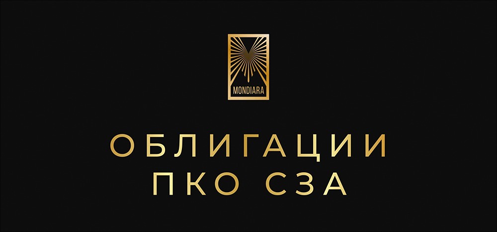 Облигации ПКО СЗА серии БО-06: условия размещения и доходность 25.5%