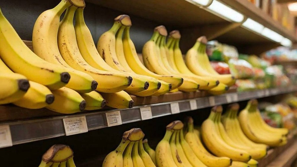 Что теперь требуют от бананов при ввозе в Россию: почему они должны быть зелёными, иметь огуречный аромат и соответствовать новому ГОСТу?