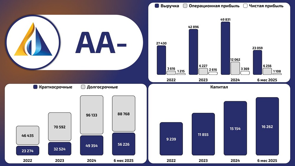 ВИС ФИНАНС: анализ отчетности и долговой нагрузки компании