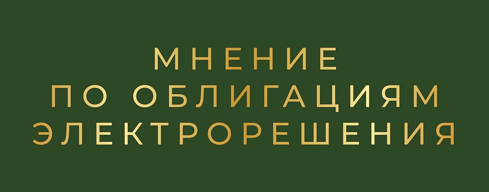 Размещение облигаций Электрорешений: что нужно знать инвестору