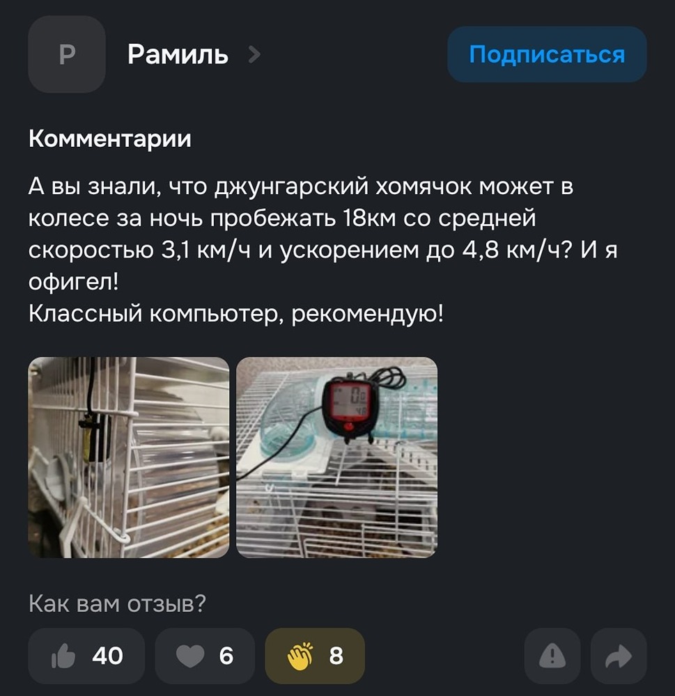 Спидометр для велосипеда помог раскрыть талант хомяка. Мужчина купил устройство на Ozon и решил протестировать его на колесе питомца. Выяснилось, что джунгарский марафонец за ночь наматывает около 18 км