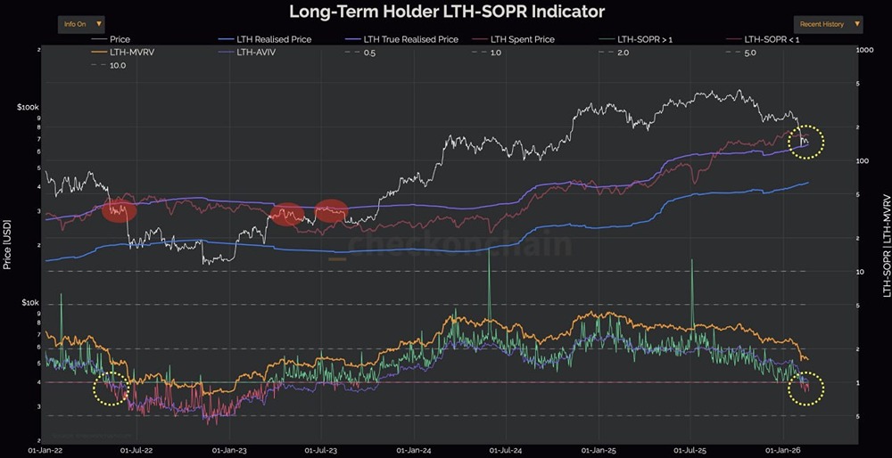 Истинная стоимость биткоина для долгосрочных инвесторов: что показывает on-chain анализ?