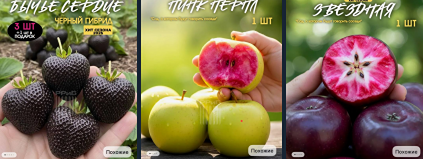 Скамеры разводят садоводов на Wildberries. Продавцы начали продавать семена ИИ-растений. Есть синяя и черная клубника, яблоки с фиолетовой и «звездной» начинками и другие гибриды