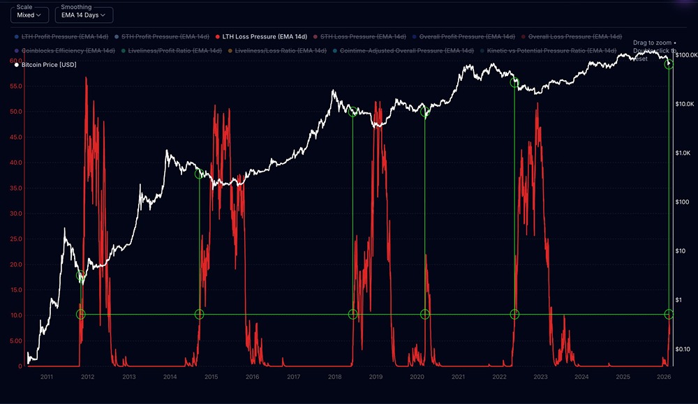Долгосрочные держатели биткоина массово фиксируют убытки: что происходит на рынке?
