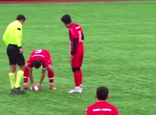 Футболист реанимировал чайку после удара мячом на матче в Стамбуле