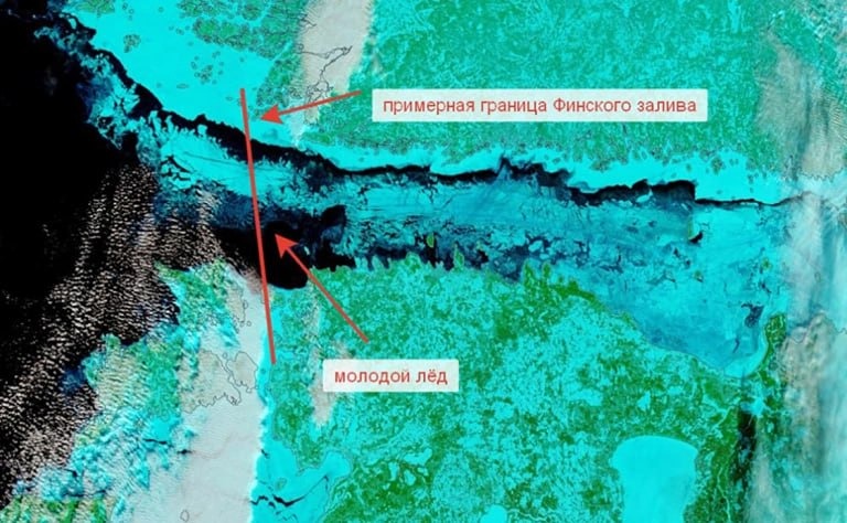 Впервые за 15 лет Финский залив полностью замерз: что говорят синоптики?