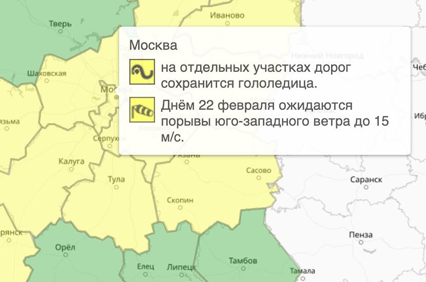 В эти выходные выходить не рекомендуется: в Москве и Подмосковье на 22–23 февраля объявлен желтый уровень погодной опасности