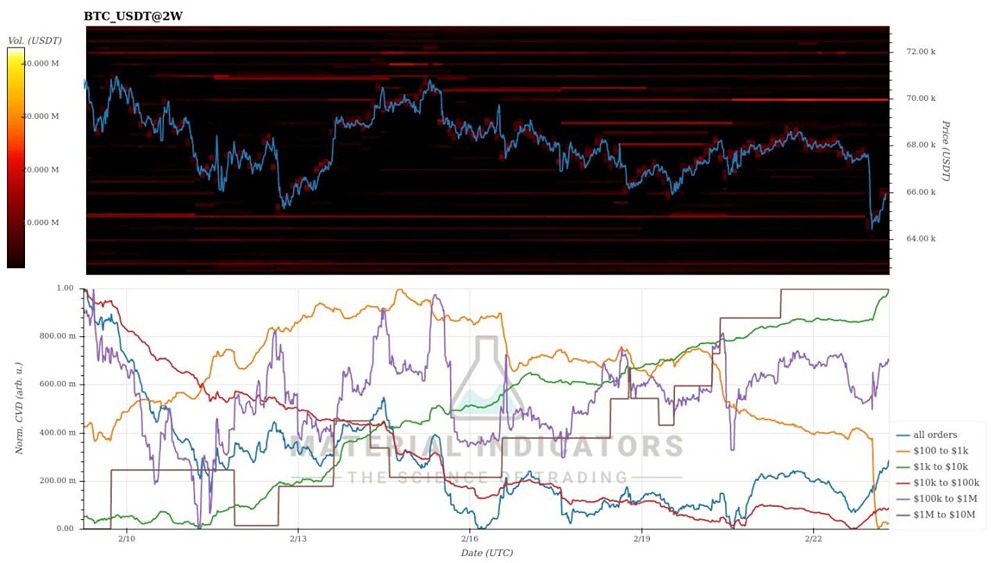 Парадокс рынка биткоина: почему крупные инвесторы скупают при падении?