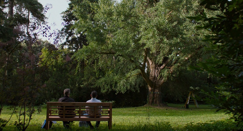 Почему дерево стало главным героем нового венгерского фильма “Молчаливый друг”?